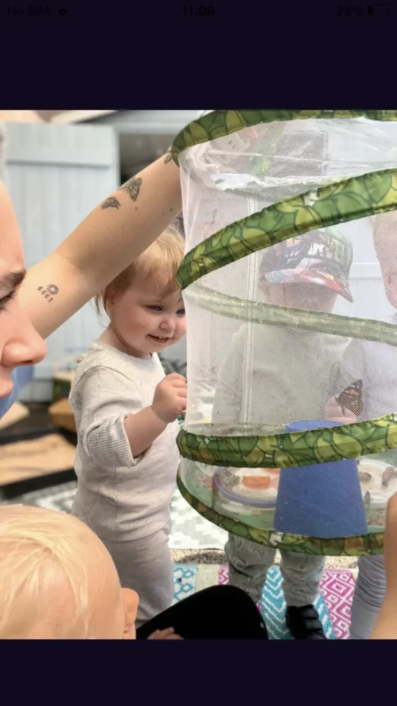 Children looking at butterflies